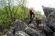 Monte Zucco (Direttissima / Sentiero Panoramico) da San Pellegrino Terme il 22 aprile 2016  - FOTOGALLERY